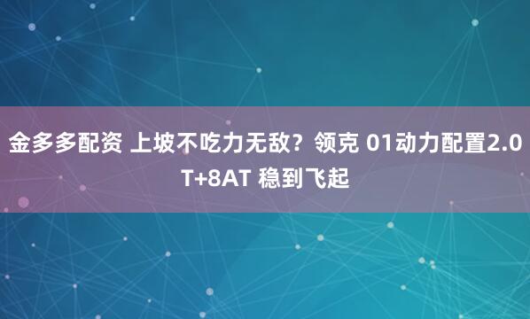 金多多配资 上坡不吃力无敌？领克 01动力配置2.0T+8AT 稳到飞起