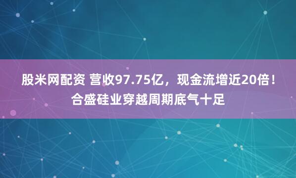 股米网配资 营收97.75亿，现金流增近20倍！合盛硅业穿越周期底气十足